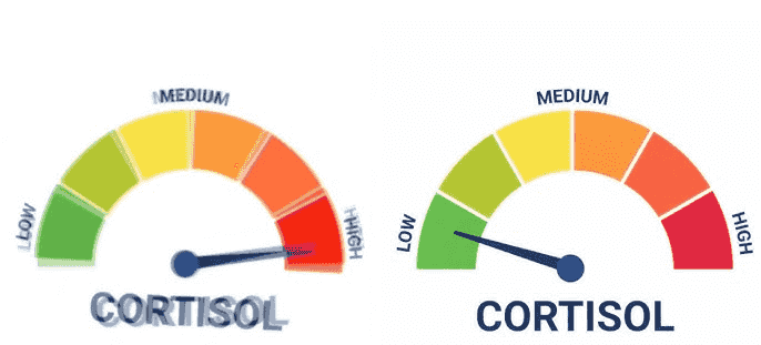 High Vs Low Cortisol meme template