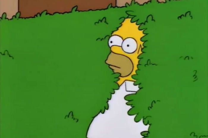 Homer Disappears Into Bush