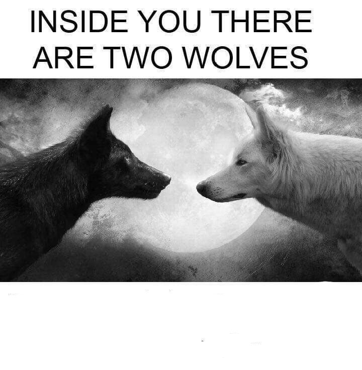 Inside You There Are Two Wolves