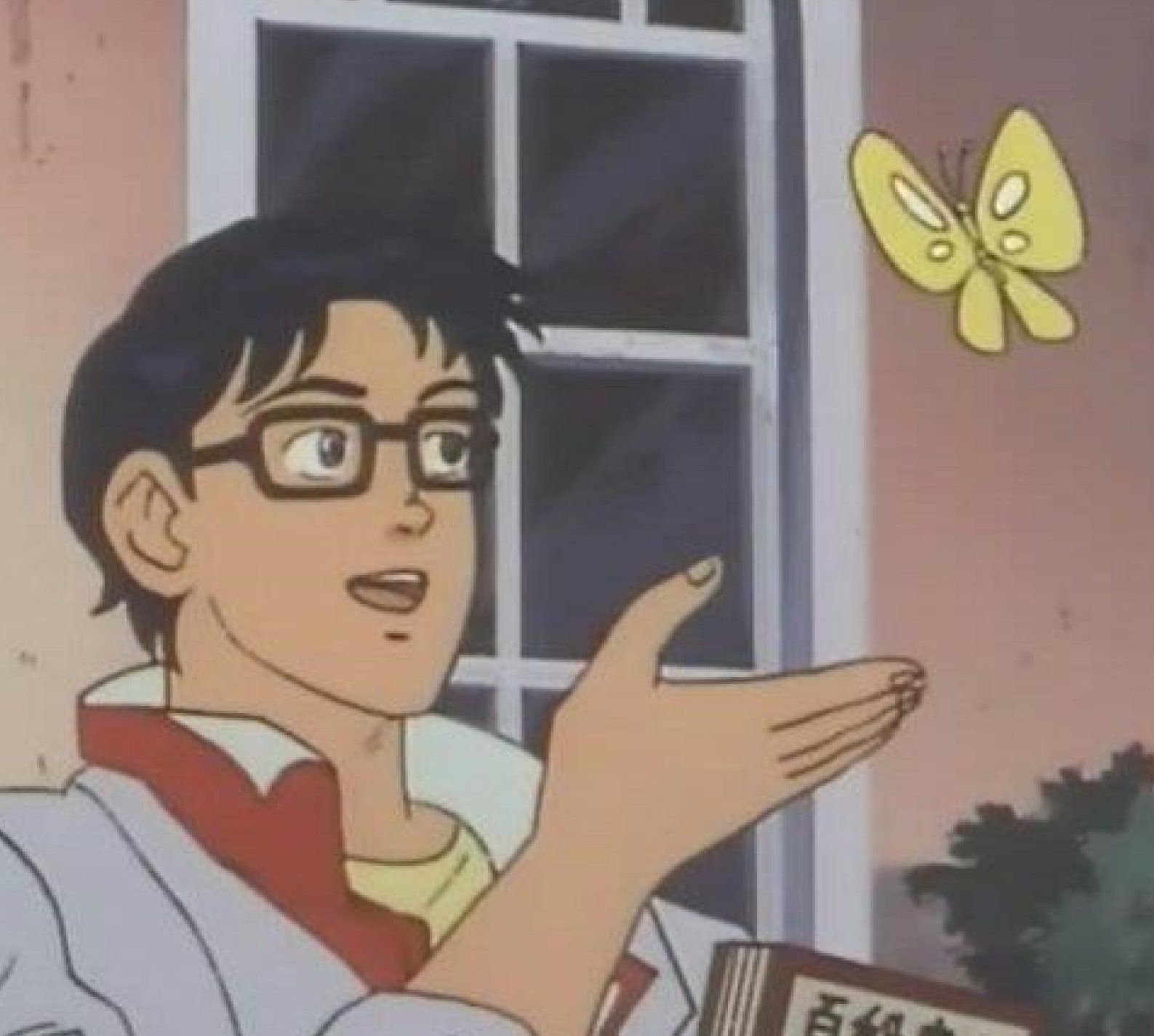 Is This Butterfly